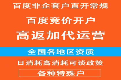 案例研究：如何通过竞价广告实现精准营销